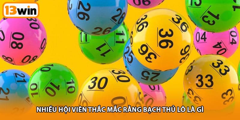 Nhiều hội viên thắc mắc rằng bạch thủ lô là gì